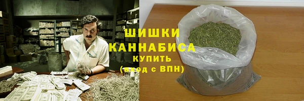 СК Бронницы