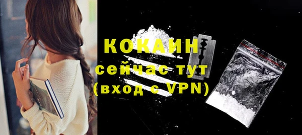 СК Бронницы