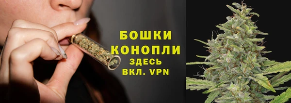 МДПВ Бородино