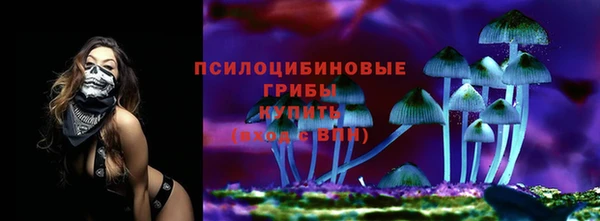 МДПВ Бородино