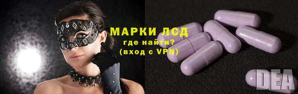 МДПВ Бородино