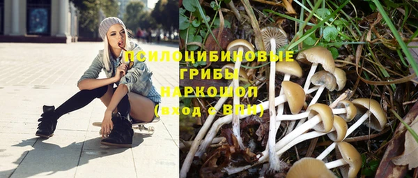 МДПВ Бородино