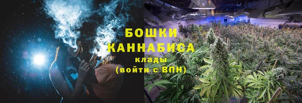 Альфа ПВП Бугульма