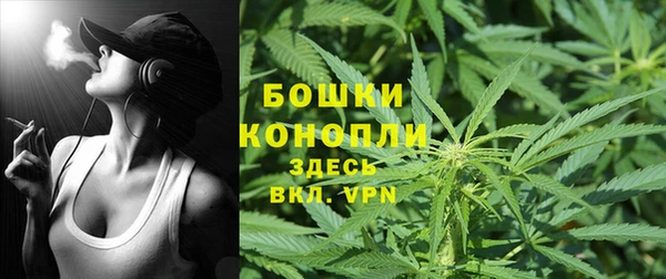 МДПВ Бородино