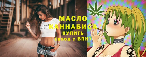 МДПВ Бородино