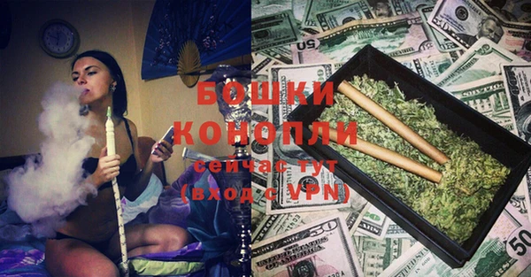 МДПВ Бородино