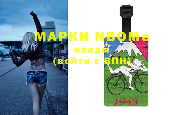 МДПВ Бородино